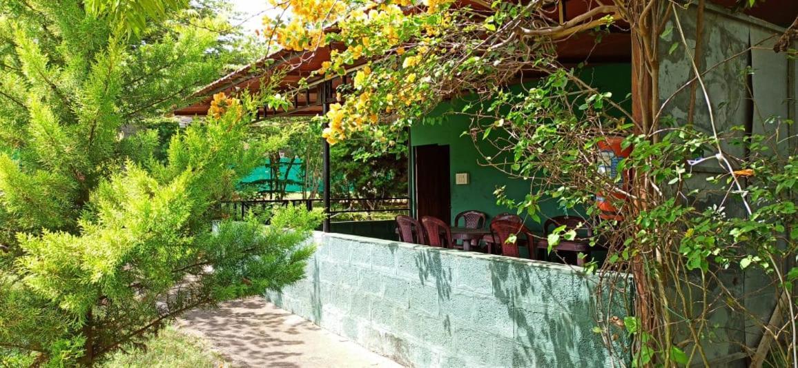 Green Hills Farm And Guest House Masinagudi Kültér fotó