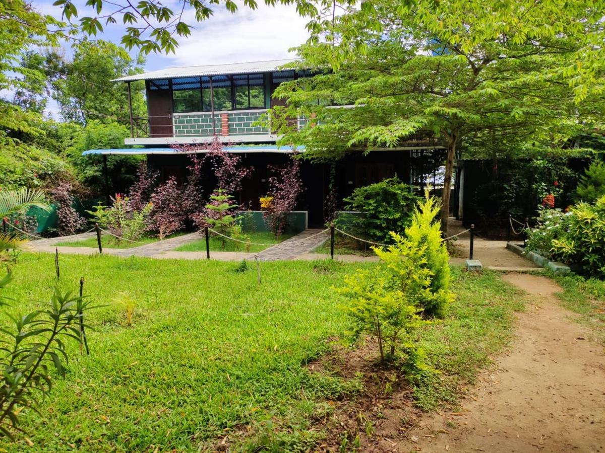 Green Hills Farm And Guest House Masinagudi Kültér fotó